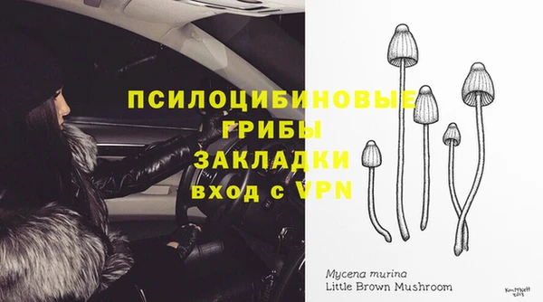 мескалин Гусев