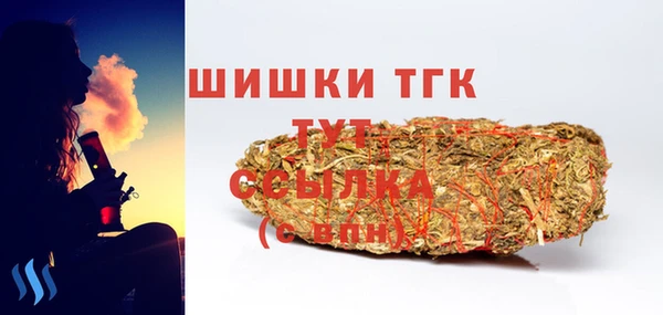ПСИЛОЦИБИНОВЫЕ ГРИБЫ Гусиноозёрск