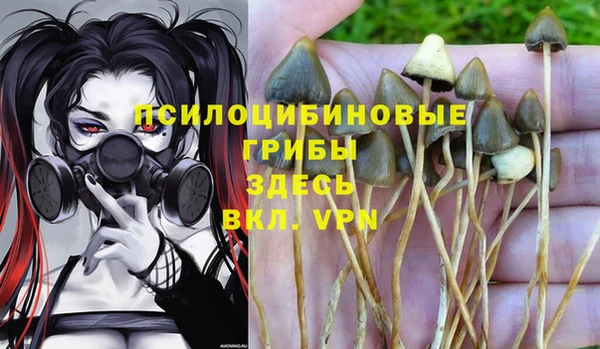 мескалин Гусев
