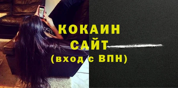 ПСИЛОЦИБИНОВЫЕ ГРИБЫ Гусиноозёрск