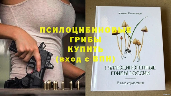 мескалин Гусев